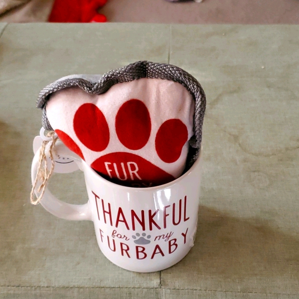 Designer not rae dunn coffee mug and dog toy